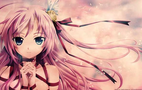 仿Xintheme独立Wordpress企业模板（带Erphpdown）